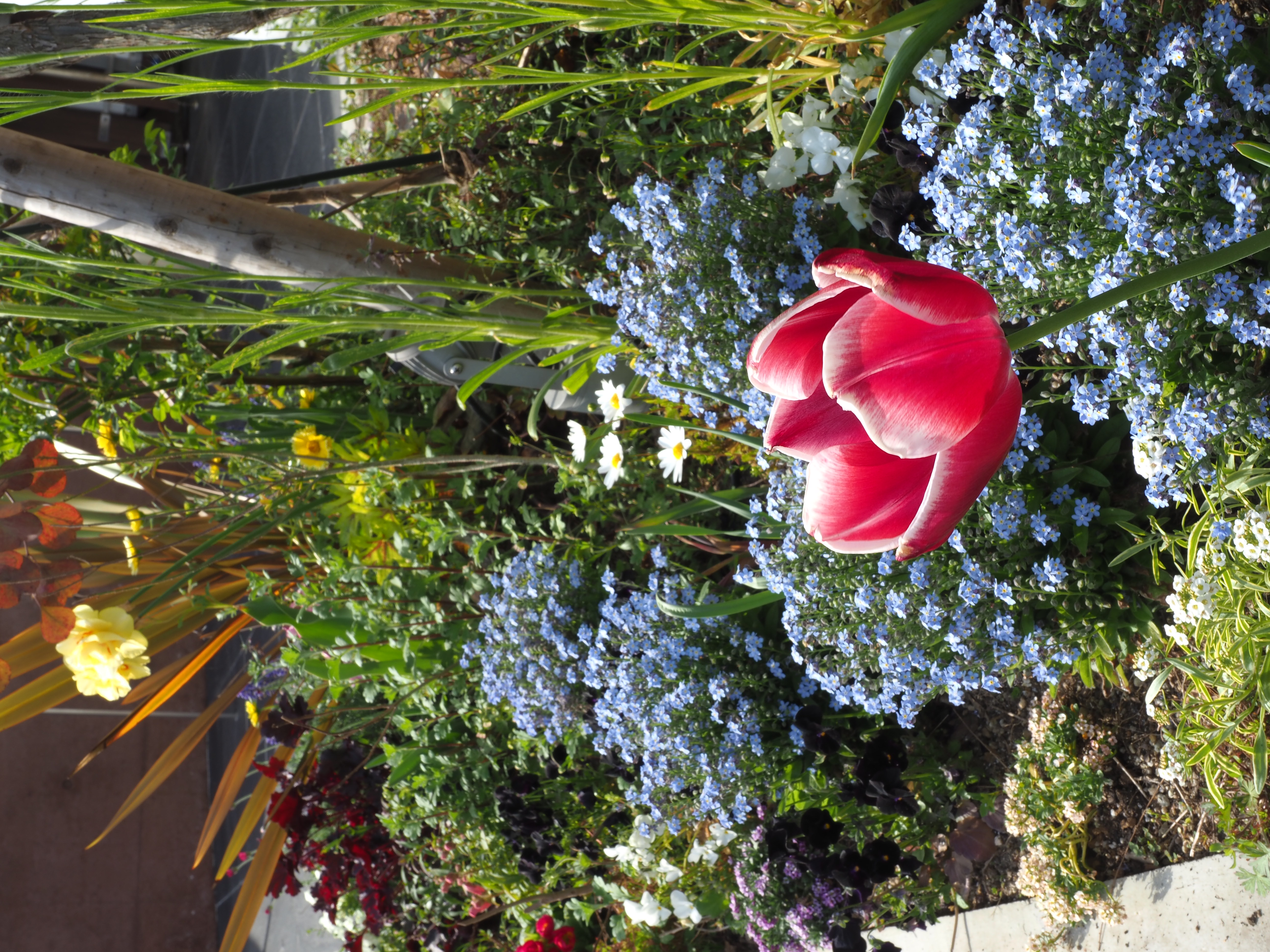 ちょっと振り返り・・・