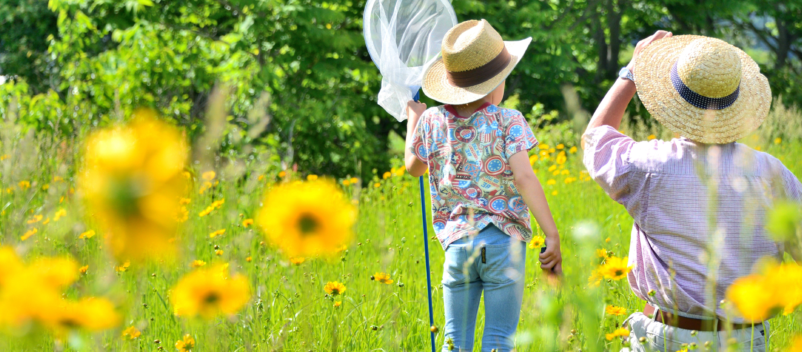 夏の暑い日に。涼をとる日本らしいどこか懐かしい風景たち