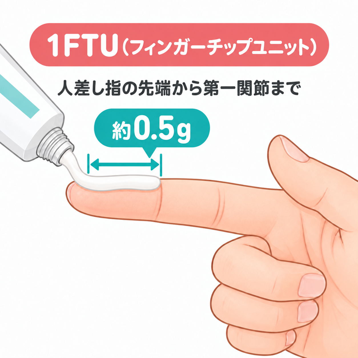 1FTU(フィンガーチップユニット)人差し指の先端から第一関節まで
