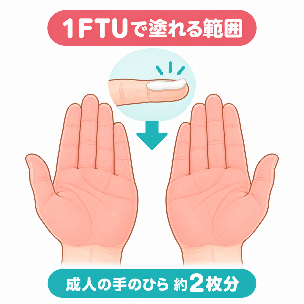 1FTUで濡れる範囲 成人の手のひら約2枚分