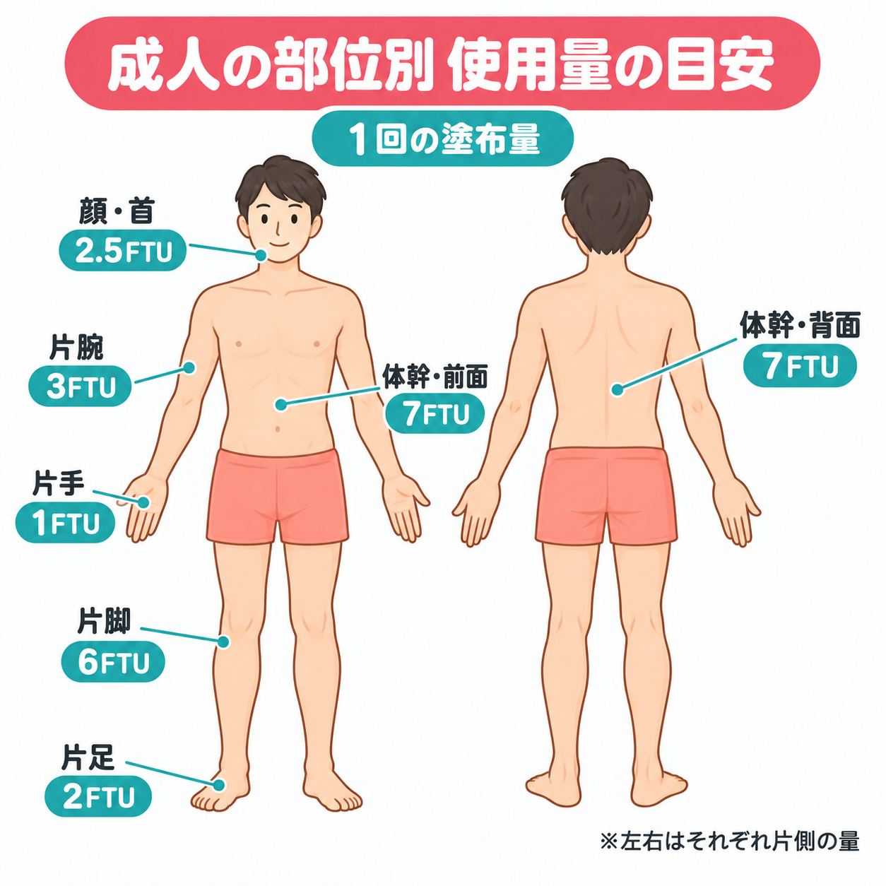 成人の部位別使用量の目安